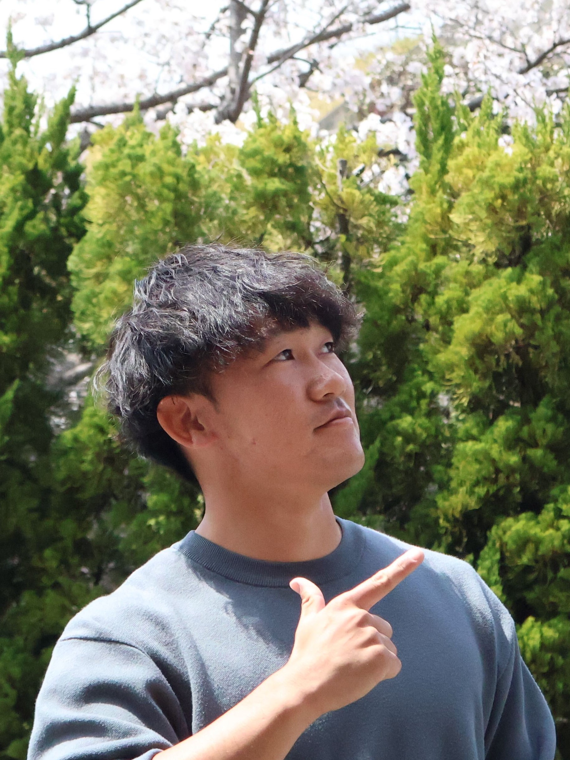 makoto igarashi